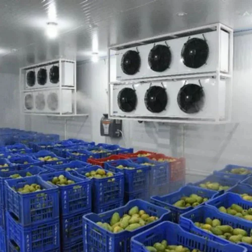nandikoti_Mango Ripening Chamber
